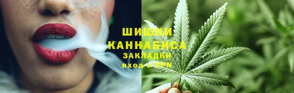 PSILOCYBIN Остров