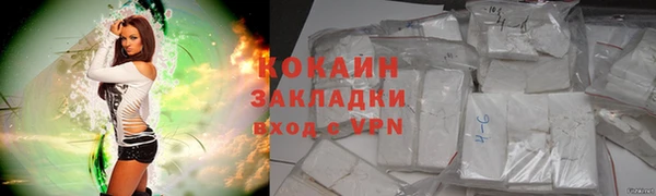 шишки Осинники