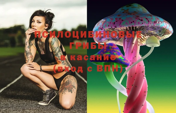 бошки Осташков