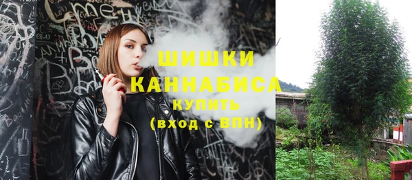 PSILOCYBIN Остров