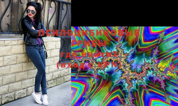PSILOCYBIN Остров