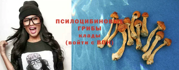 бошки Осташков