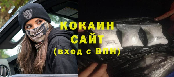 шишки Осинники