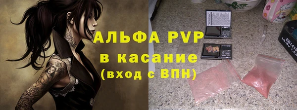 шишки Осинники